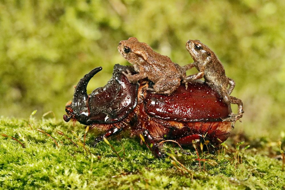 Photograph by Сергей Маслов