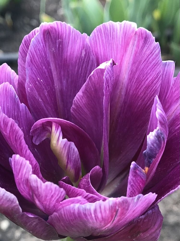 Photograph by Ольга Рачилова