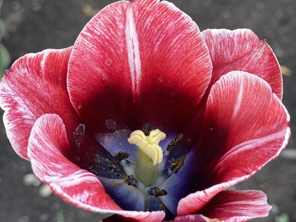 Photograph by Ольга Рачилова