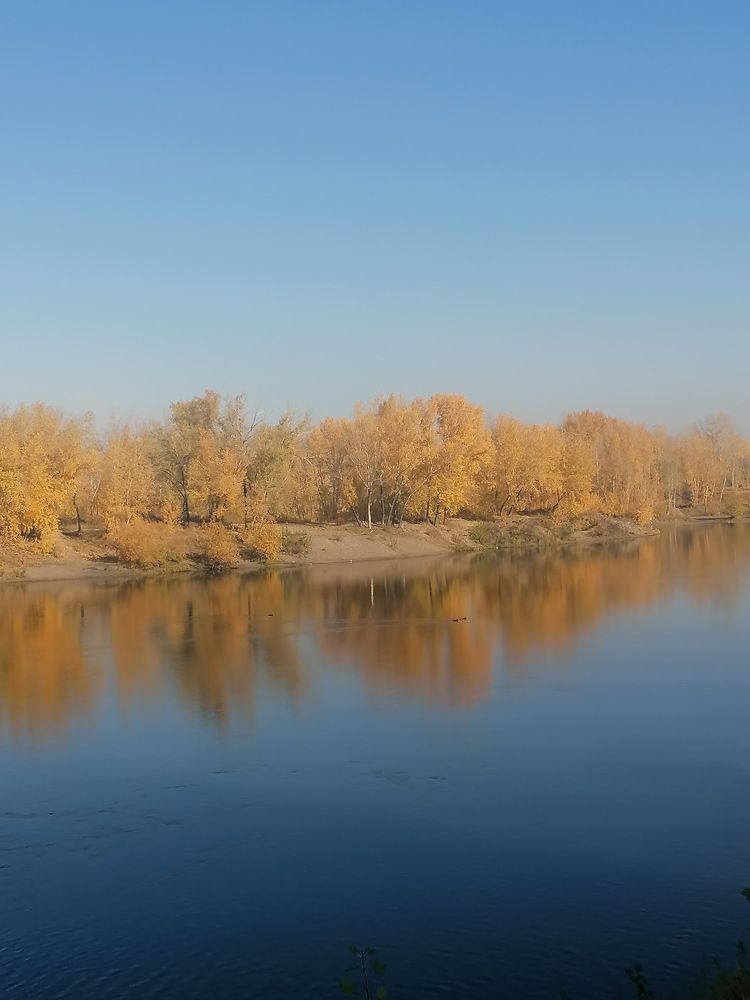 Photograph by Наталья