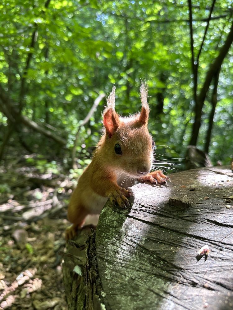 Photograph by Юлия