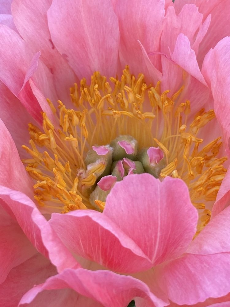 Photograph by Ольга Рачилова