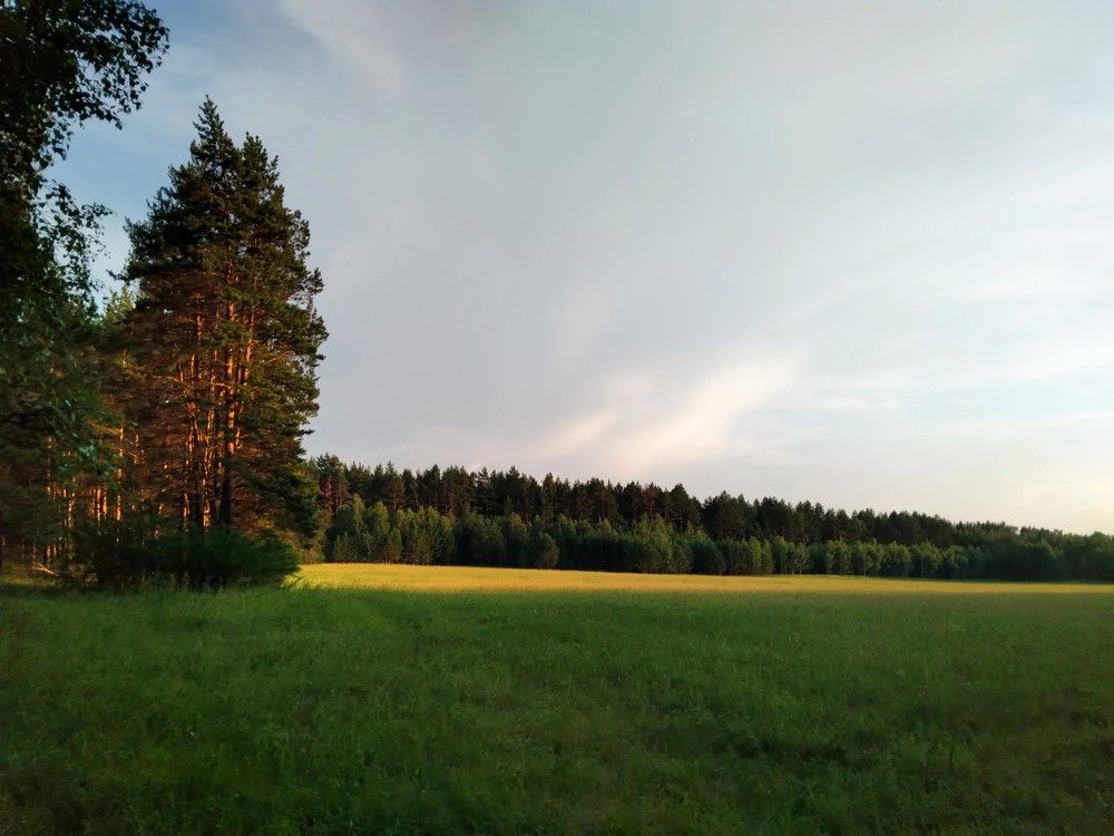 Photo #9747495