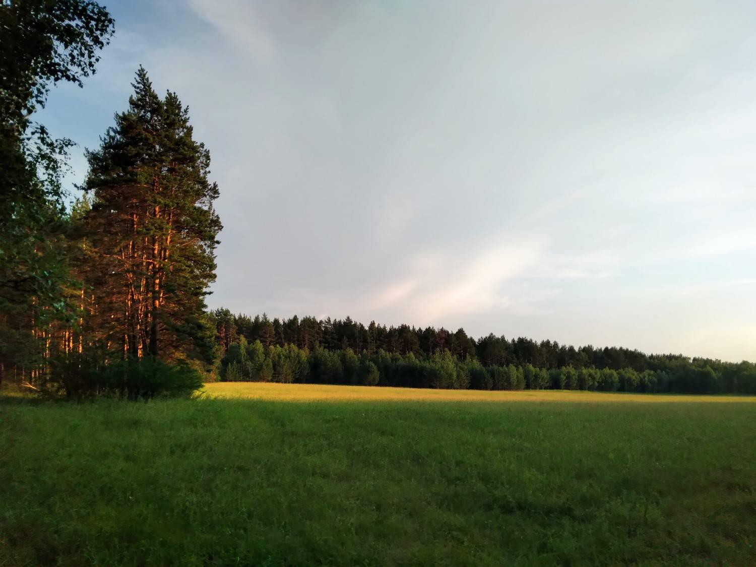 Photo #9747495