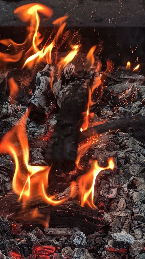 Фотография автора Васильева Ирина