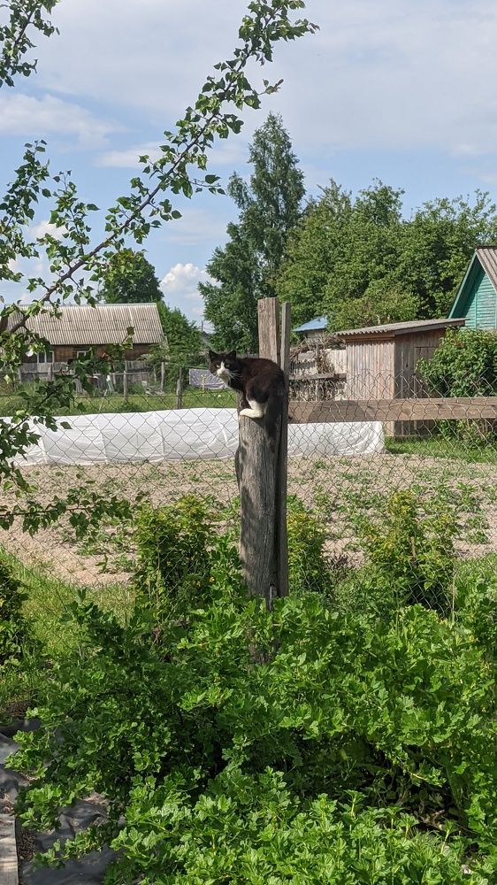 Фотография автора Васильева Ирина