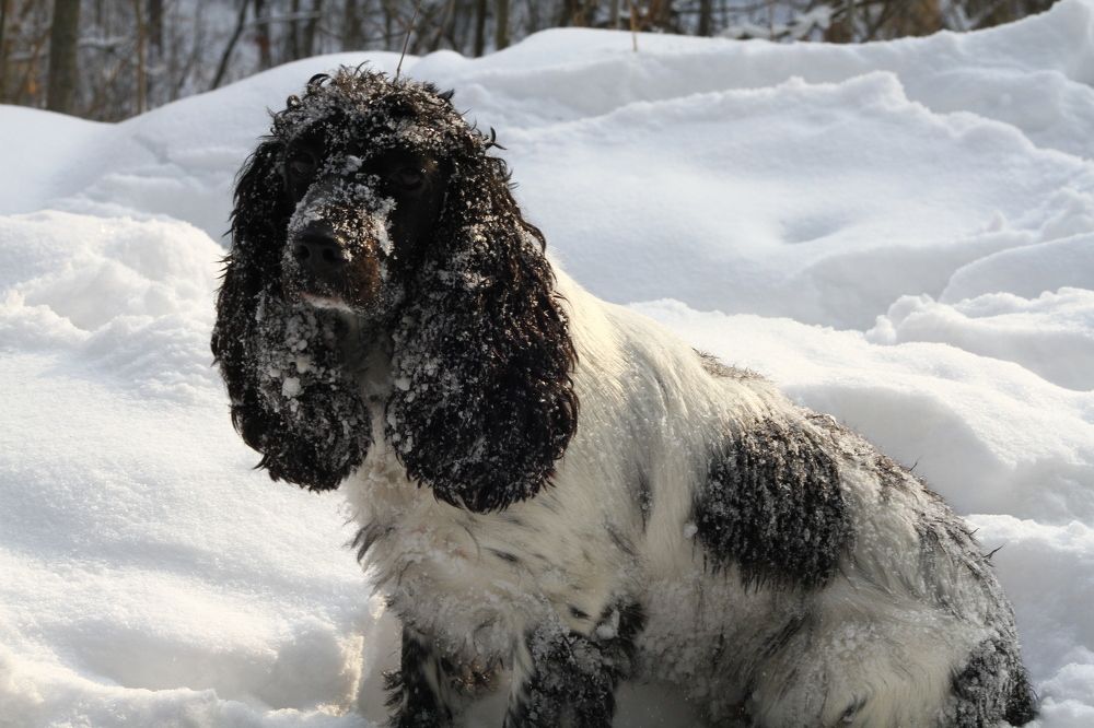 Photograph by Елизавета Мишина