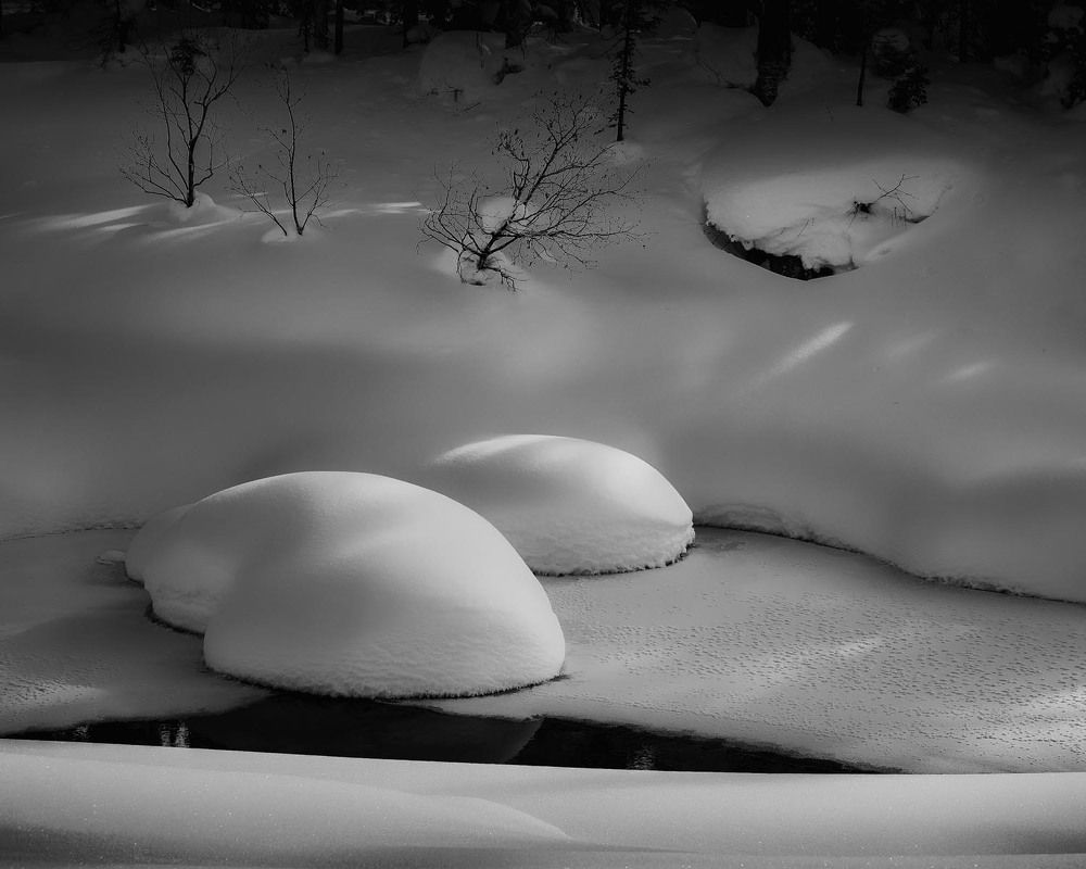 Фотография автора Татьяна Добровольская