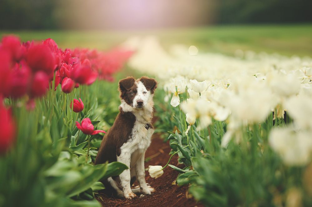 Photograph by jodie coward