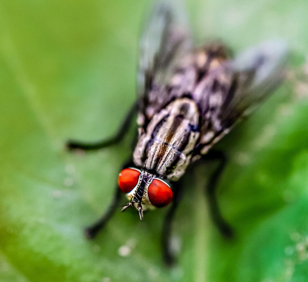 Photograph by Оксана Сафина