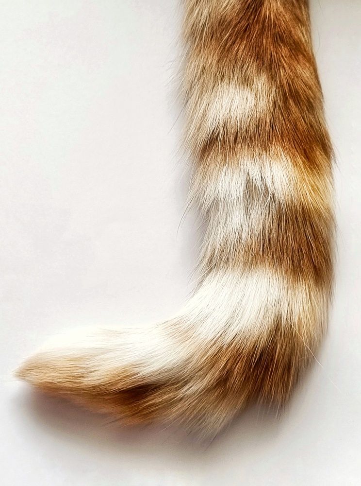 Photograph by Ольга