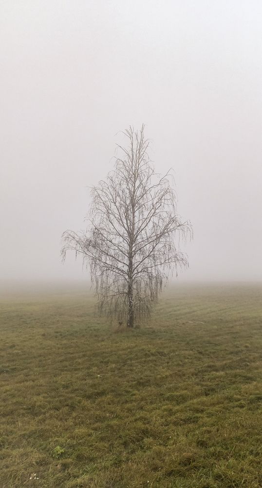 Photograph by ALEKSEI BABANIN