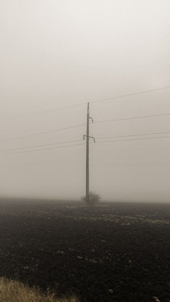 Photograph by ALEKSEI BABANIN