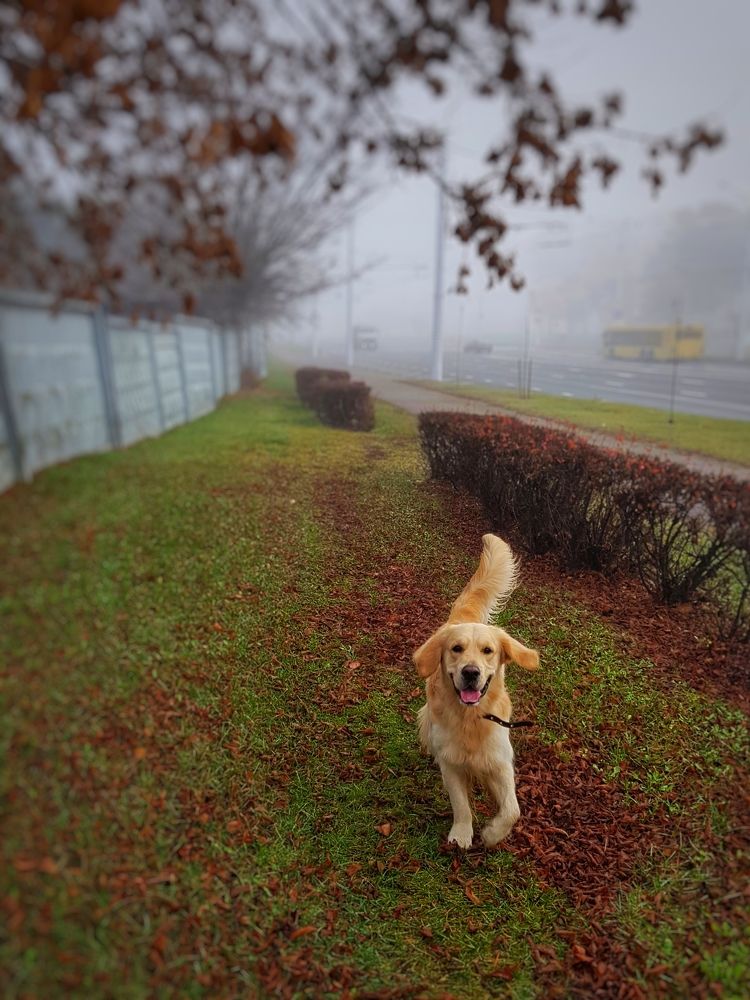 Photograph by Елена Ямнюк