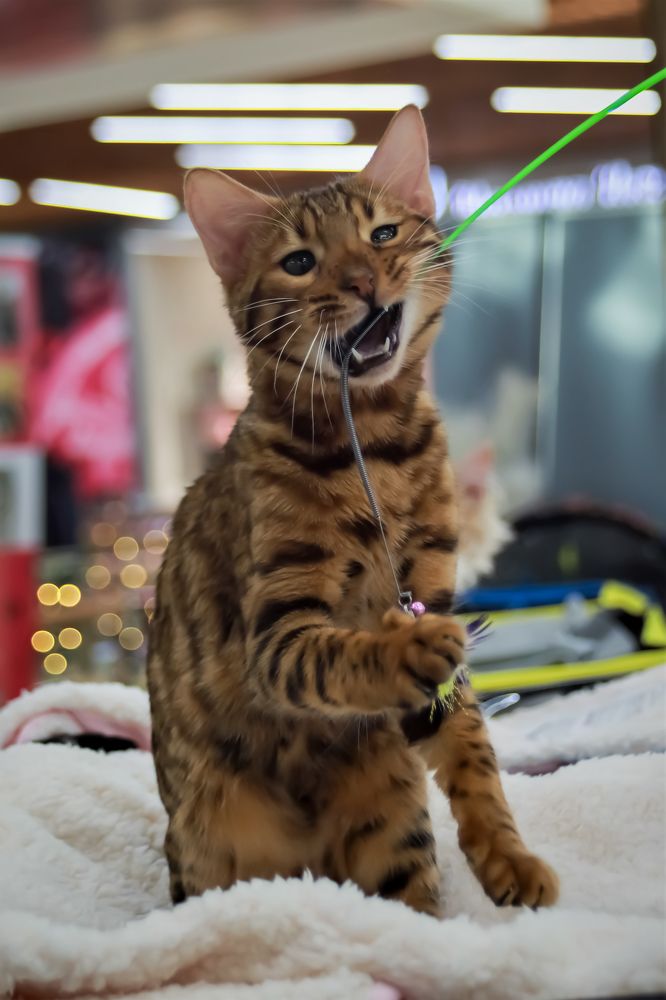 Photograph by Переверзева Татьяна