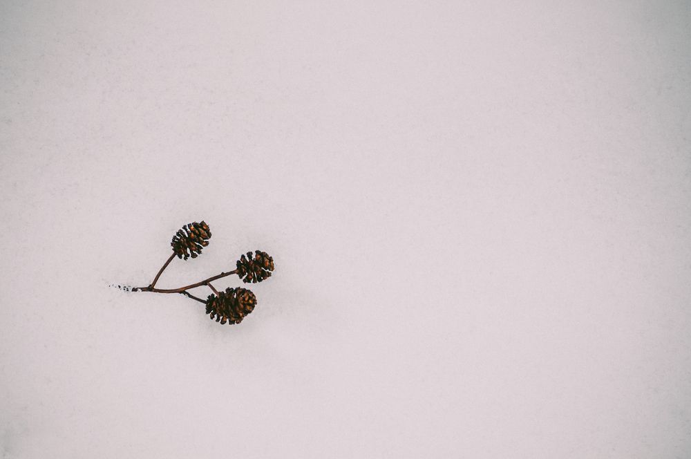 Photograph by Ольга Глущенко