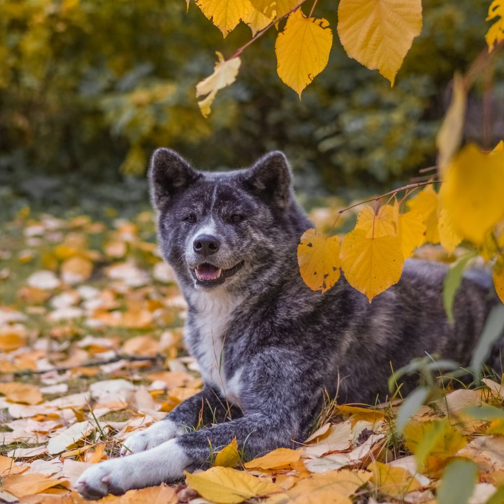 Photograph by Ирина Баландина
