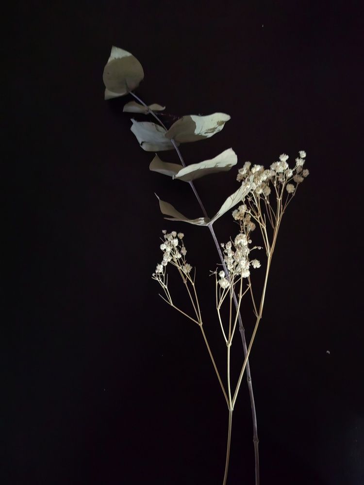 Photograph by Ольга Голованова