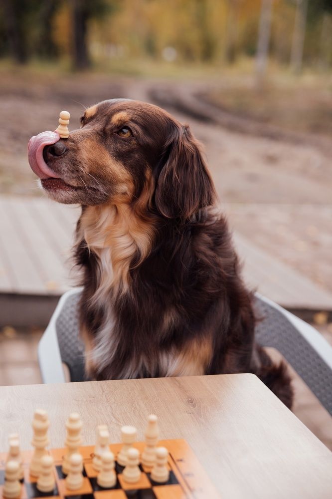 Photograph by Татьяна Касперевич