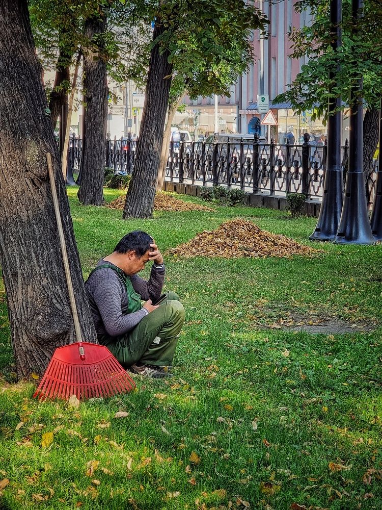 Фотография автора Светлана Алексеева