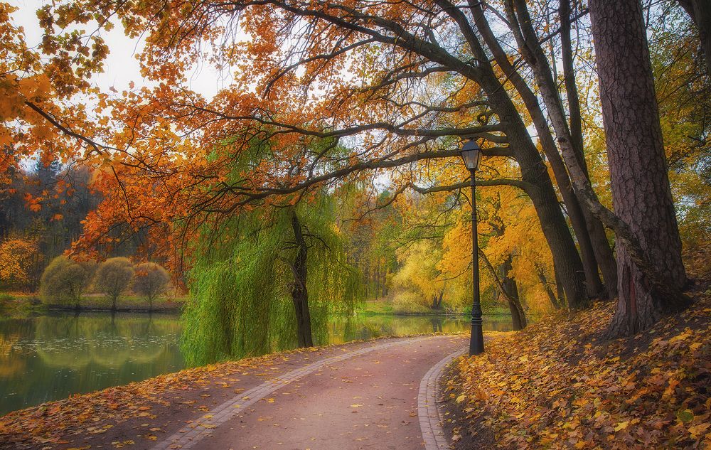 Photograph by Алексей Назаров