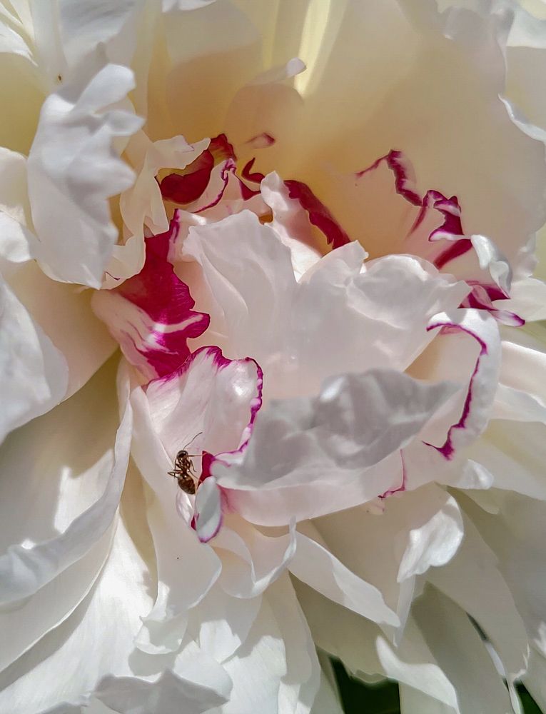 Photograph by Елена Алексеева