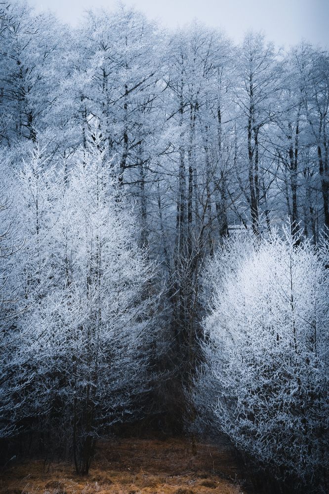 Photograph by Stanislav Rodionov