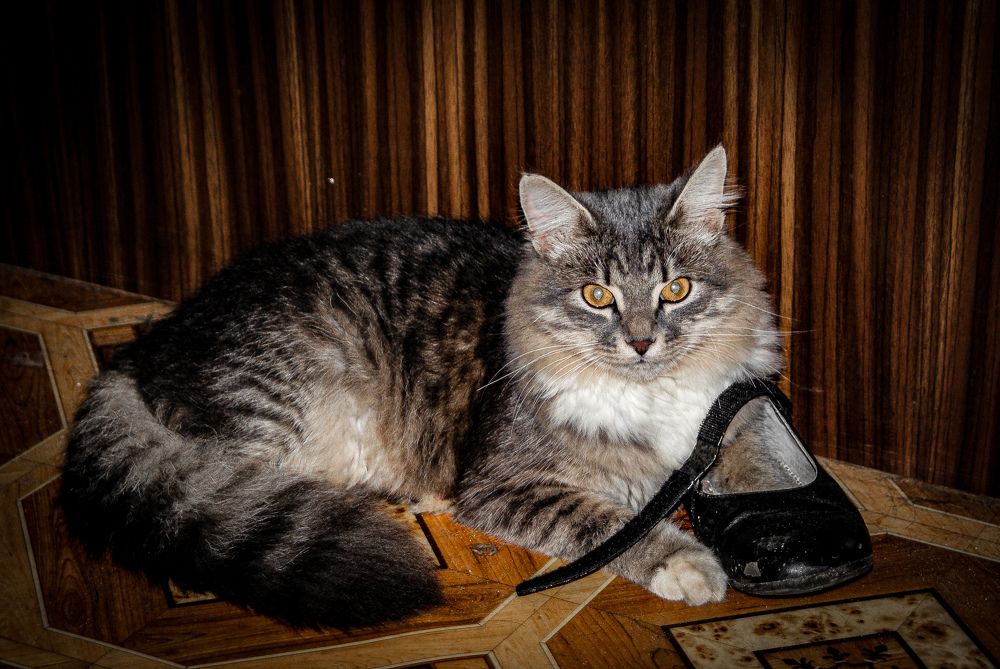 Photograph by Влад Апанасов