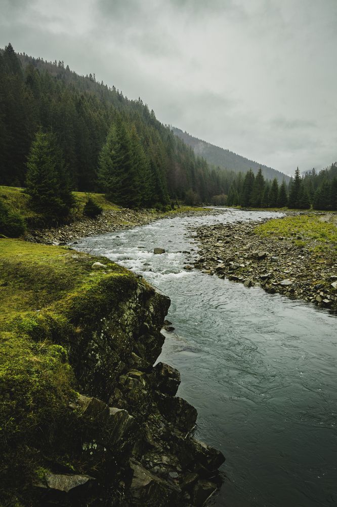 Photograph by Stanislav Rodionov