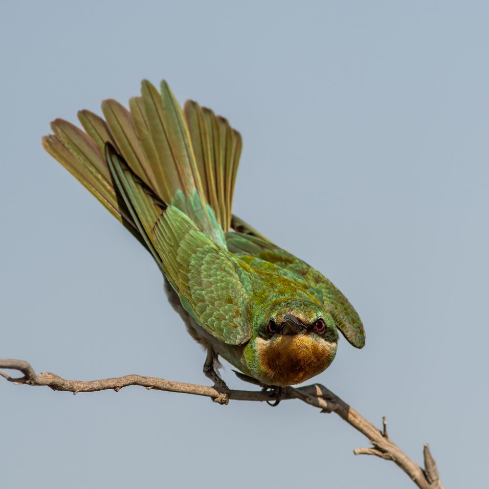 Photograph by Hervie Imus