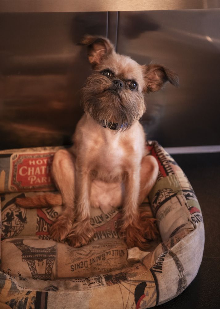 Photograph by Светлана Ермакова