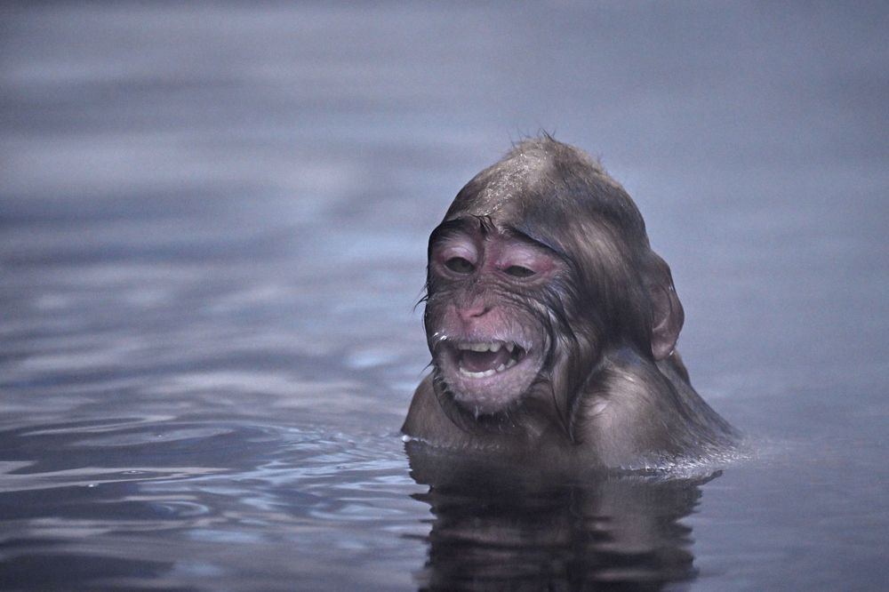 Photograph by Роман Штейнбрехер