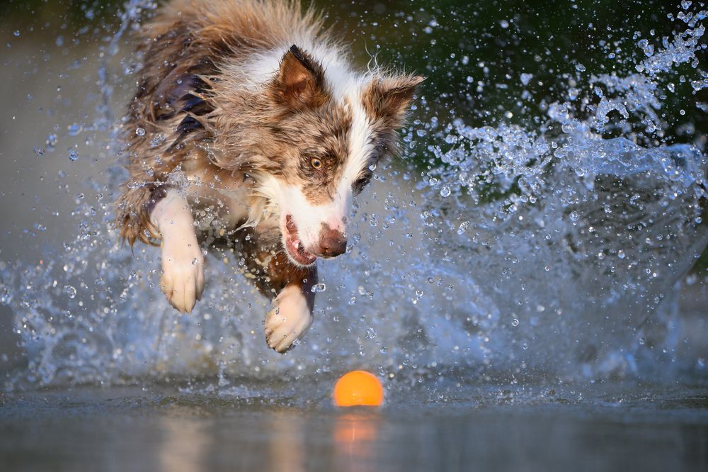 Photograph by Annette Hagemeijer