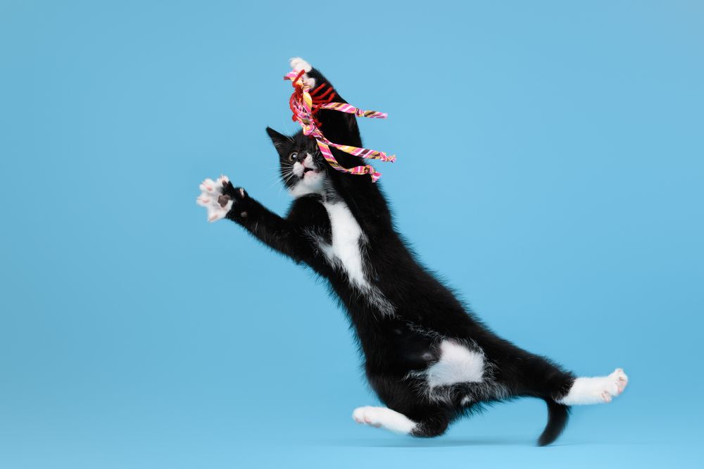 Photograph by Annette Hagemeijer