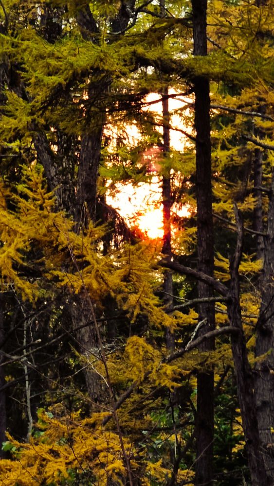 Photograph by Клавдия