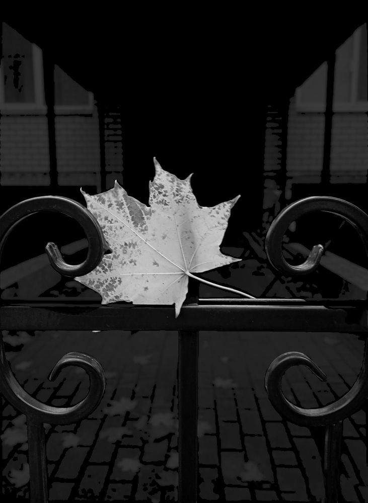 Одиночество...