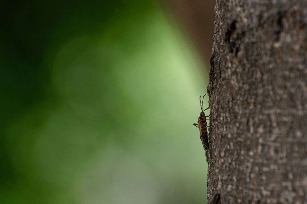 Photograph by Joaquin Zaragoza