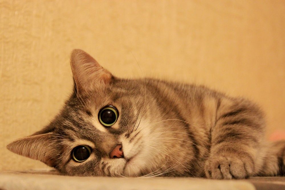 Photograph by Ольга Ситникова