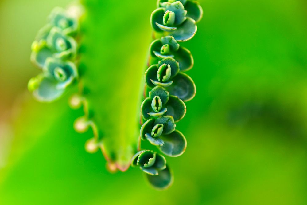 Photograph by Everton Medeiros