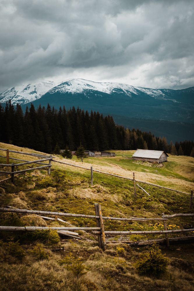 Photograph by Stanislav Rodionov
