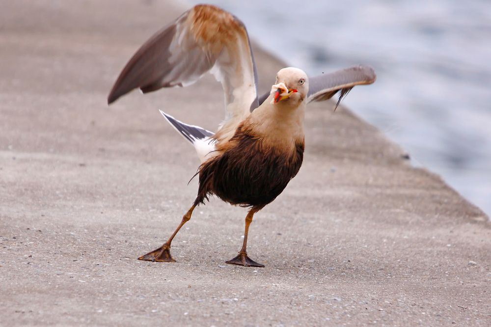 Photograph by  賴清淇