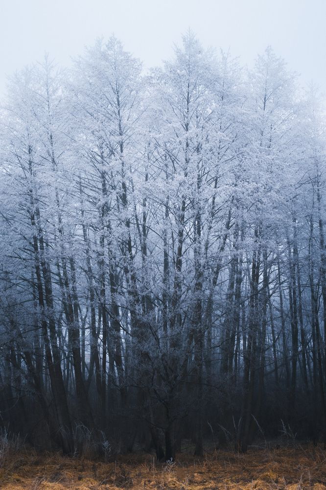 Photograph by Stanislav Rodionov