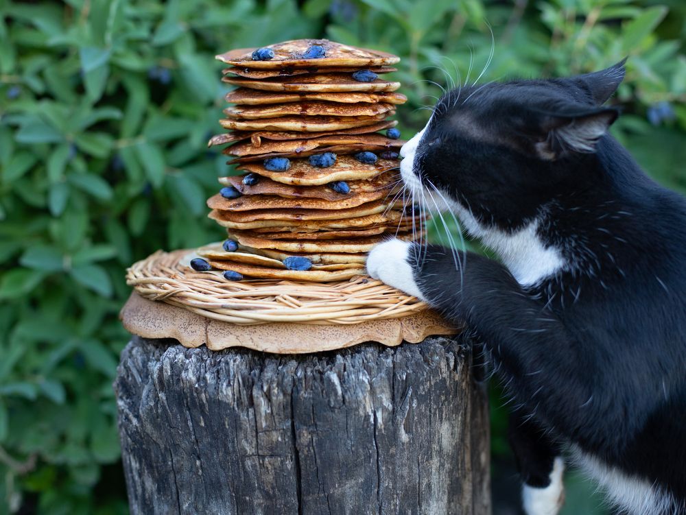 Photograph by Marina Dukhina