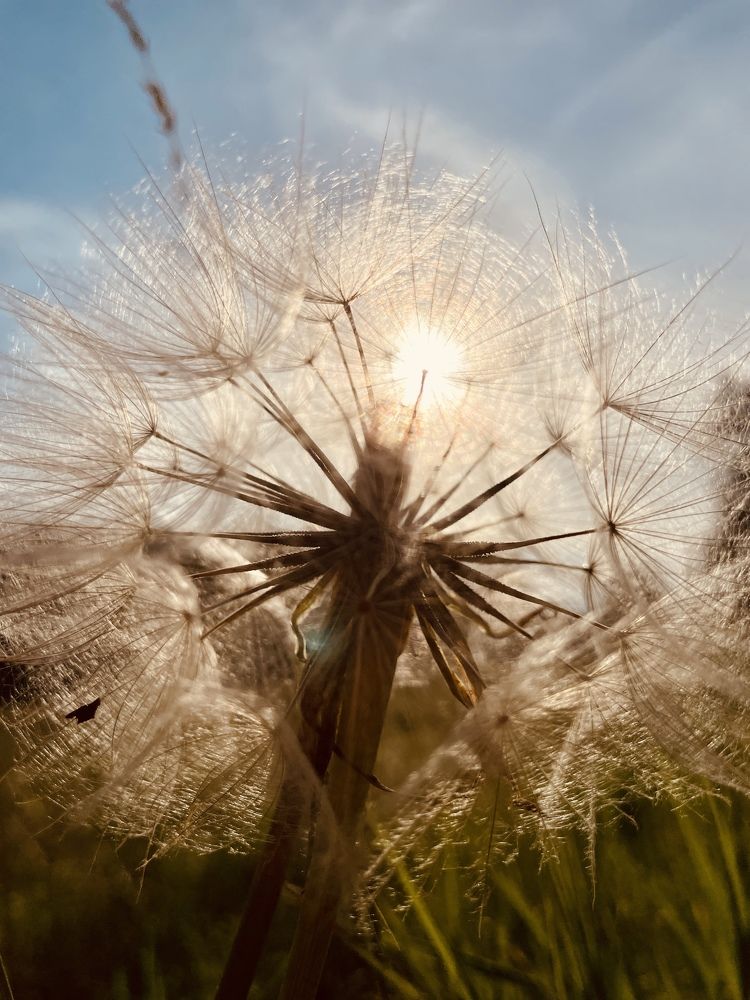 Фотография автора Camilly Kwaczynska