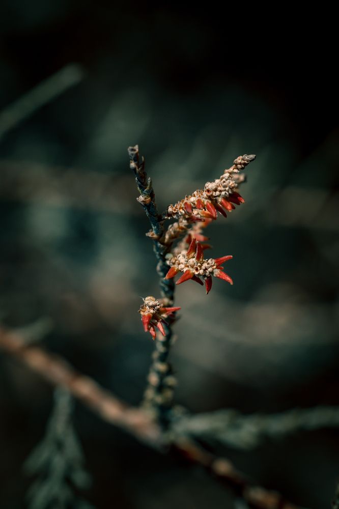 Photograph by Mostafa Bahnasy