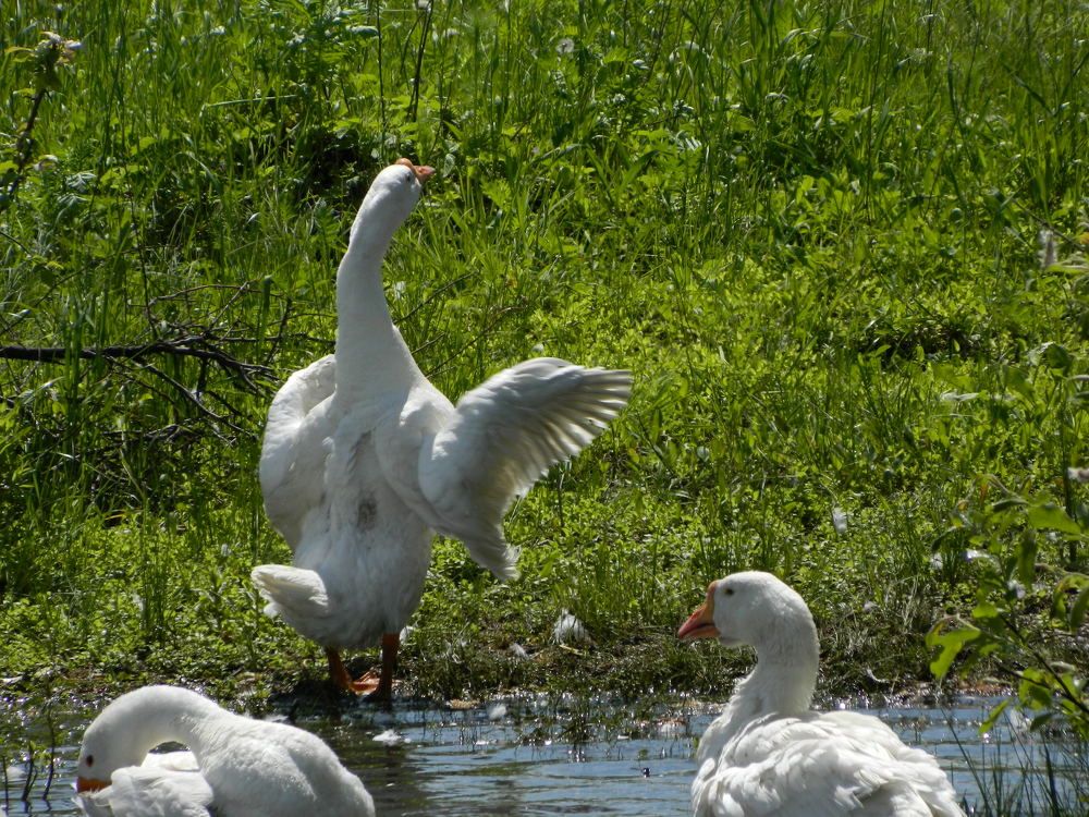 Photograph by Елизавета Мишина