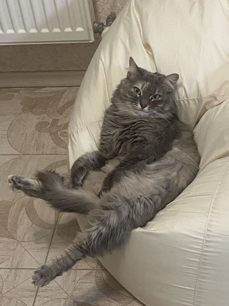 Фотография автора Александр Горин