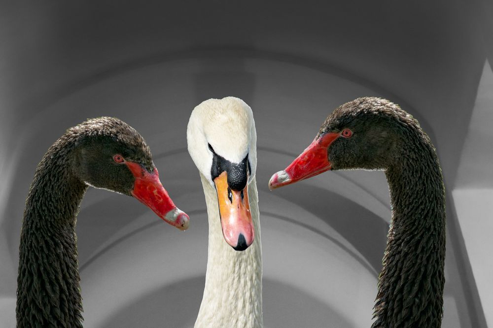 В третьей степени. Или гимн кубическому сплайну