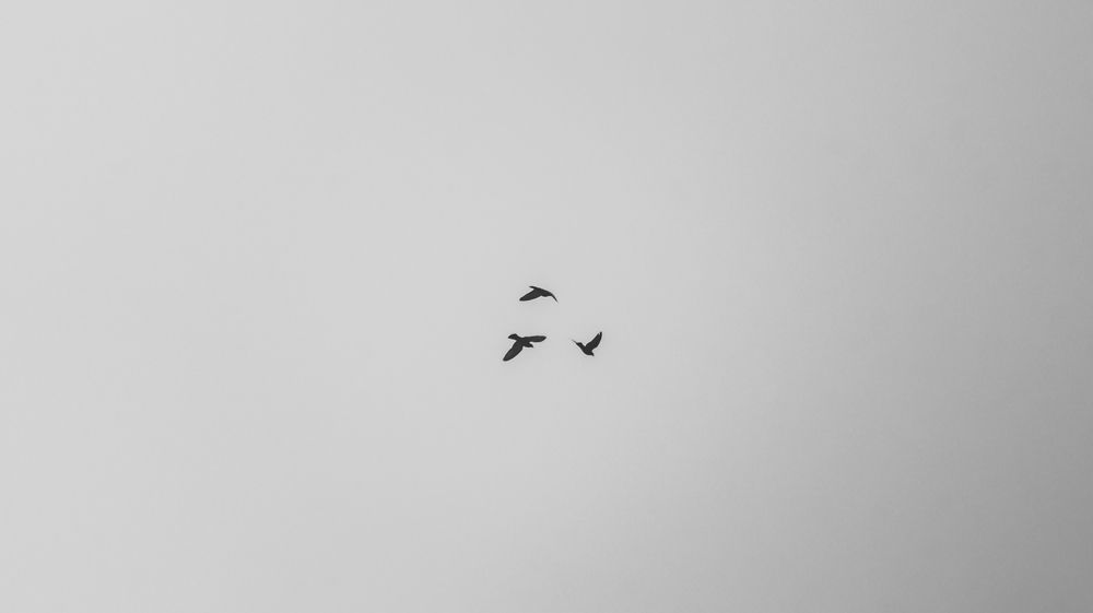 Photograph by Данил Журавлёв