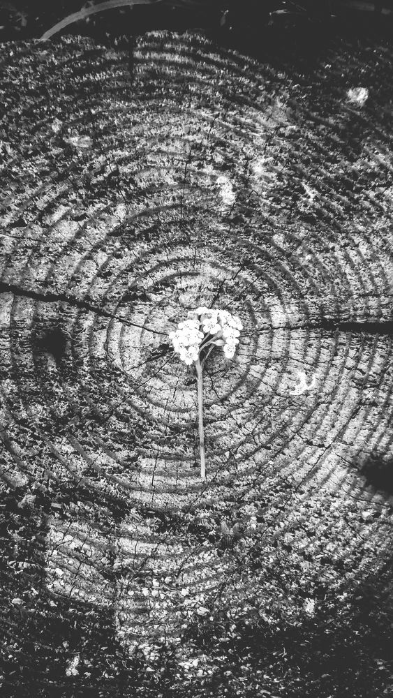 Photograph by Данил Журавлёв